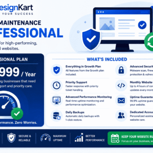 Professional Website Maintenance Plan