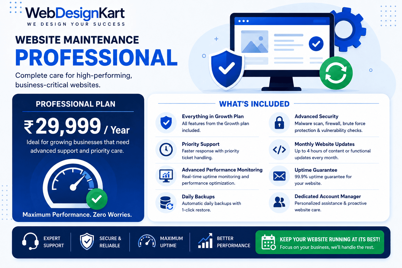 Professional Website Maintenance Plan